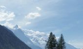 Randonnée Marche Chamonix-Mont-Blanc - CHAMONIX ( Balcon sud) - Photo 3