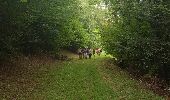Trail Walking Saâcy-sur-Marne - CRAB : la Dhuys pétillante  - Photo 4