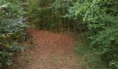 Trail Walking Frouard - Foret de Haye - Photo 3