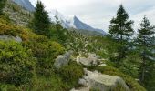 Tocht Stappen Chamonix-Mont-Blanc - CHAMONIX (Viaduc) - Photo 6