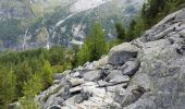 Tocht Stappen Chamonix-Mont-Blanc - CHAMONIX (Viaduc) - Photo 5