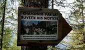 Tocht Stappen Chamonix-Mont-Blanc - CHAMONIX (Viaduc) - Photo 4