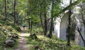 Tocht Stappen Chamonix-Mont-Blanc - CHAMONIX (Viaduc) - Photo 3