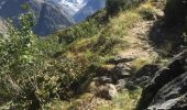 Tour Wandern Saint-Christophe-en-Oisans - REFUGE DE CHATELLERET depuis LA BERARDE-07-09-2016 - Photo 8