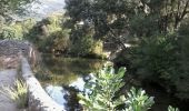 Tour Wandern Saint-Jean-de-Buèges - st jean de bueges  - Photo 2