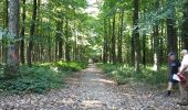 Trail Walking Braine-le-Comte - Ronquières 15,2 km - Photo 16