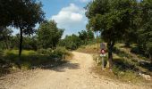 Randonnée Marche Draguignan - Malmont Cassade reco partielle  - Photo 16