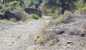 Excursión Senderismo Villelongue-dels-Monts - Villelongue del Monts (15/9/2016) - Photo 2