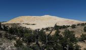 Tour Wandern Unknown - Yellow Rock  - Photo 9