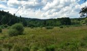 Randonnée Marche Saint-Romain-d'Urfé - boucle le Limousin - Photo 1