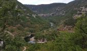 Tocht Stappen La Malène - la malene- rocher de hourtour - Photo 3