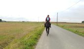 Percorso Altra attività Florennes - randonnée cheval la baronne  - Photo 5