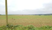 Tocht Andere activiteiten Florennes - randonnée cheval la baronne  - Photo 3