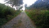 Trail Walking Mettet - Marche ADEPS Oret 18-09-2016 - Photo 3
