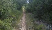 Trail Walking Uchaud - bois de bernis - Photo 7