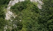 Tocht Stappen Rochefort - Natuur : Belvaux -Les Rouges-Gorges (de roodborstjes) - Photo 14