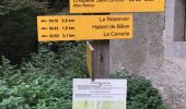 Trail Walking Saint-Pierre-de-Chartreuse - circuit autour grande chartreuse  - Photo 2