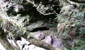 Trail Walking Le Tampon - La Réunion - Aller - Ravine Citron Galet par le nez de Boeufs  - Photo 5