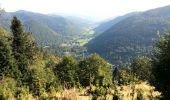 Tocht Mountainbike Mittlach - Mittlach - Le Schweisel - Col d'Hahnenbrunnen - Station du Schnepfenried - Photo 13