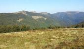 Percorso Mountainbike Mittlach - Mittlach - Le Schweisel - Col d'Hahnenbrunnen - Station du Schnepfenried - Photo 12