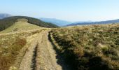 Tour Mountainbike Mittlach - Mittlach - Le Schweisel - Col d'Hahnenbrunnen - Station du Schnepfenried - Photo 11