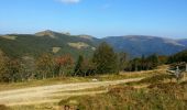 Trail Mountain bike Mittlach - Mittlach - Le Schweisel - Col d'Hahnenbrunnen - Station du Schnepfenried - Photo 10