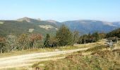 Tocht Mountainbike Mittlach - Mittlach - Le Schweisel - Col d'Hahnenbrunnen - Station du Schnepfenried - Photo 9