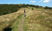 Tocht Mountainbike Mittlach - Mittlach - Le Schweisel - Col d'Hahnenbrunnen - Station du Schnepfenried - Photo 6