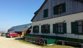 Excursión Bici de montaña Mittlach - Mittlach - Le Schweisel - Col d'Hahnenbrunnen - Station du Schnepfenried - Photo 5