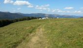 Percorso Mountainbike Mittlach - Mittlach - Le Schweisel - Col d'Hahnenbrunnen - Station du Schnepfenried - Photo 4