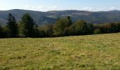 Trail Mountain bike Mittlach - Mittlach - Le Schweisel - Col d'Hahnenbrunnen - Station du Schnepfenried - Photo 3