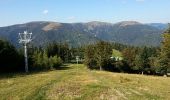 Percorso Mountainbike Mittlach - Mittlach - Le Schweisel - Col d'Hahnenbrunnen - Station du Schnepfenried - Photo 1