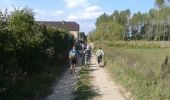 Trail Walking Anhée - De la plante à Godinne - Photo 1