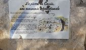 Trail Walking Cassis - La Presqu'ile de Cassis - Photo 3