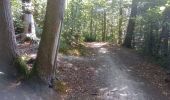 Trail Other activity Bures-sur-Yvette - STBY parcours 1 - Photo 2