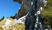 Trail Walking Sarcenas - Chamechaude par les pas de l' Arche et de l'Ecureuil - Photo 7