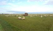 Excursión Senderismo Saint-Valery-sur-Somme - CRAB : Cap Hornu - Photo 1