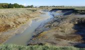 Excursión Senderismo Saint-Valery-sur-Somme - CRAB : Cap Hornu - Photo 8