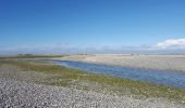 Tocht Stappen Saint-Valery-sur-Somme - CRAB : Cap Hornu - Photo 5