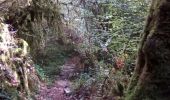 Trail Walking Brochon - falaises et plateau - Photo 5