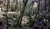 Trail Walking Brochon - falaises et plateau - Photo 2