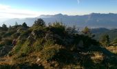 Trail Walking Revel - lac petit domenon - Photo 3