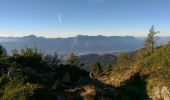 Trail Walking Revel - lac petit domenon - Photo 2