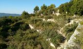 Trail Walking Salon de Provence - la pastorale du talagard - Photo 5