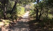 Trail Walking Rognes - mini sentier des vignerons  - Photo 7