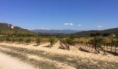 Randonnée Marche Rognes - mini sentier des vignerons  - Photo 4