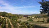 Excursión Senderismo Rognes - mini sentier des vignerons  - Photo 1