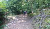 Trail Walking Saint-Prix - Manu-161009 - Morvan-GorgesCanche - Photo 4