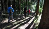 Trail Walking Saint-Prix - Manu-161009 - Morvan-GorgesCanche - Photo 9