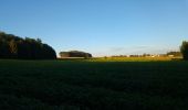 Tocht Stappen Lubbeek - in de velden rond pellenberg - Photo 1